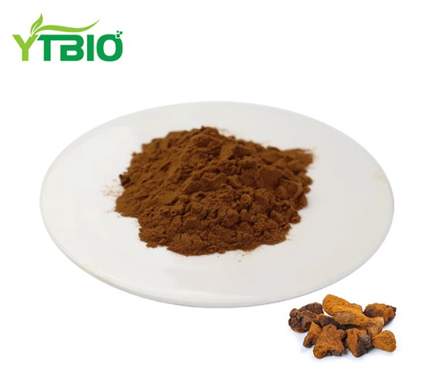 Chaga Mushroom Extract Powder